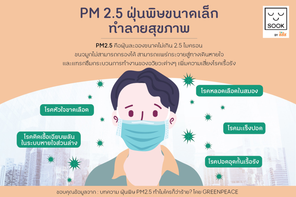 Pm 2.5. PM2.5 критика.